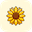 harvest-webapp.pages.dev favicon